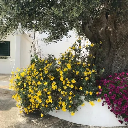 Дом отдыха Boucanville *